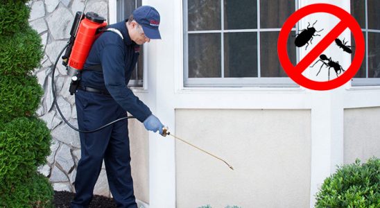 Sivaslı Dezenfeksiyon böcek ilaçlama ve haşere kontrolü — ilaclama-tr.com